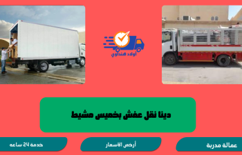 دينا نقل عفش بخميس مشيط