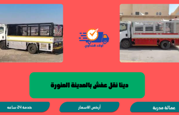 دينا نقل عفش بالمدينة المنورة